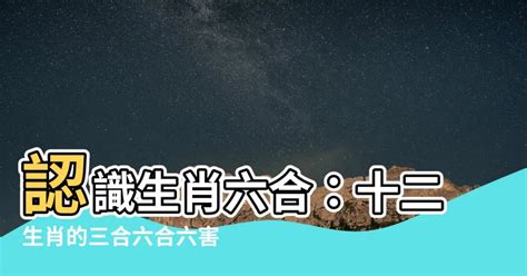 生肖 相剋|最全12生肖三合、六合、相衝、相害詳細講解！（上）。